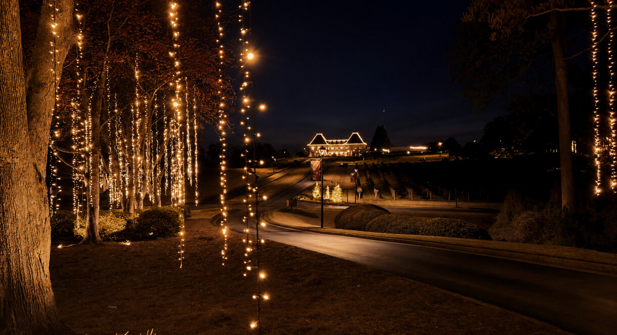 Warm white holiday lights illuminating trees and the entrance drive at Chateau Elan in Braselton, Georgia.