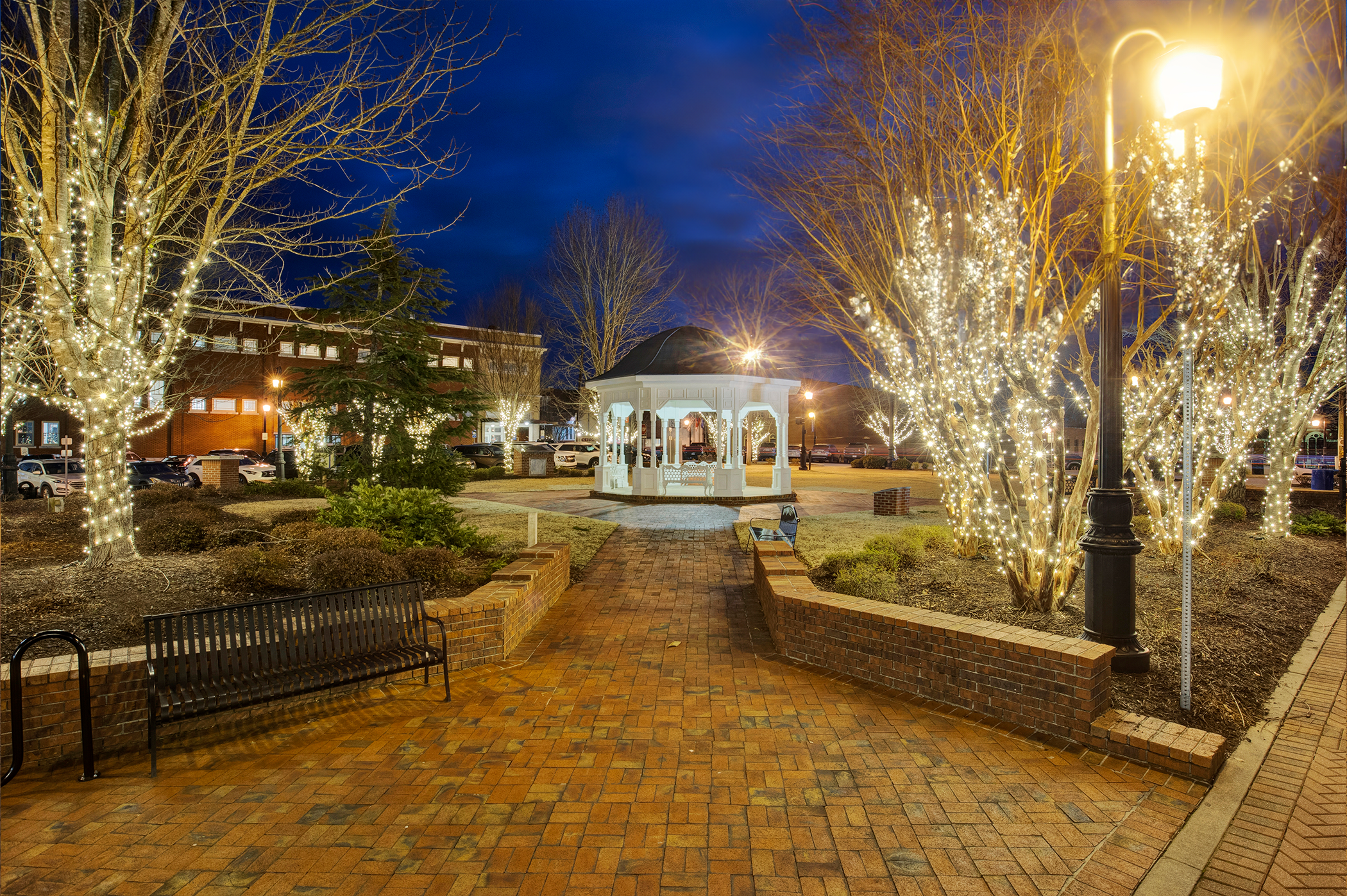 Permanent outdoor lighting on trees and walkways for City of Canton